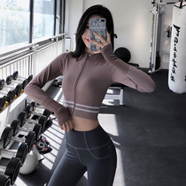 annerun Fitness Jacket Autumn Winter Running Wear Long Sleeve Top Sports Jacket Skinny Yoga Cardigan Women