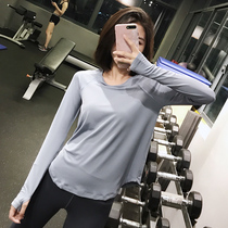  annerun sports top womens loose net red fitness clothes autumn quick-drying long-sleeved yoga clothes T-shirt running blouse