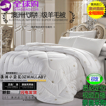 Australian zenger wool quilt satin beautiful cashmere quilt winter quilt marriage is beige print