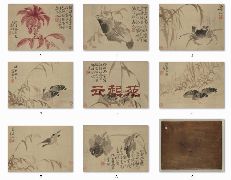 Clear Side Shoumin Fish Crab Flowers and Grass CX Eight-open high-definition electronic pictures 300M Decorative Propaganda Material