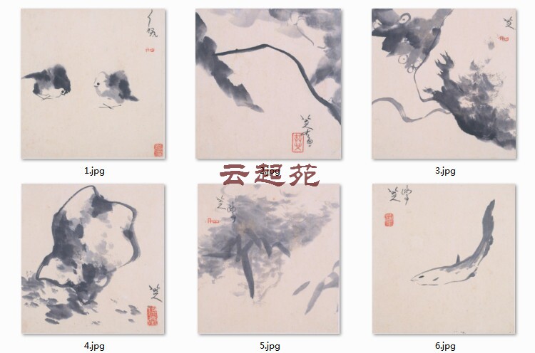 CX6 open HD electronic image 141M decorative promotional material