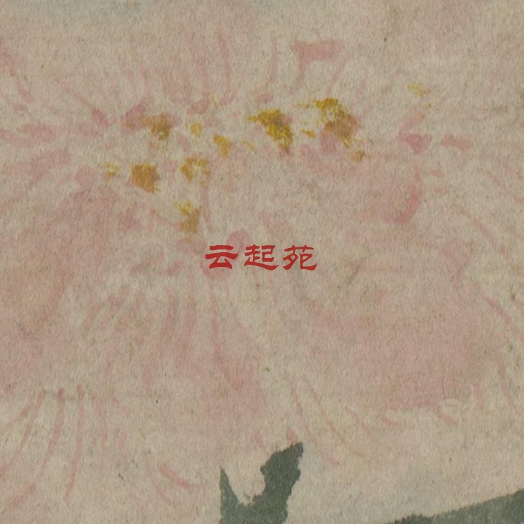 Ming Xu Lin Flower Spring Stone J HD Electronic Photo 2 15G Decorative Propaganda Material