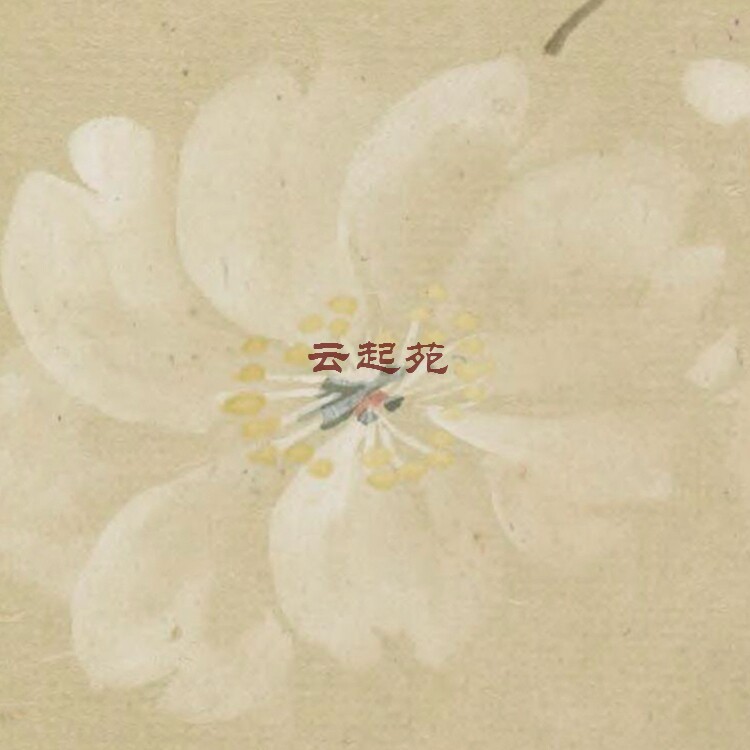 Japanese unknown cherry blossom map J high-definition electronic picture 342M decoration promotional material