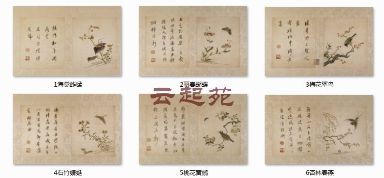 Clear embroidered bird herbivore diagram CX 6 HD electronic picture 295M decoration material