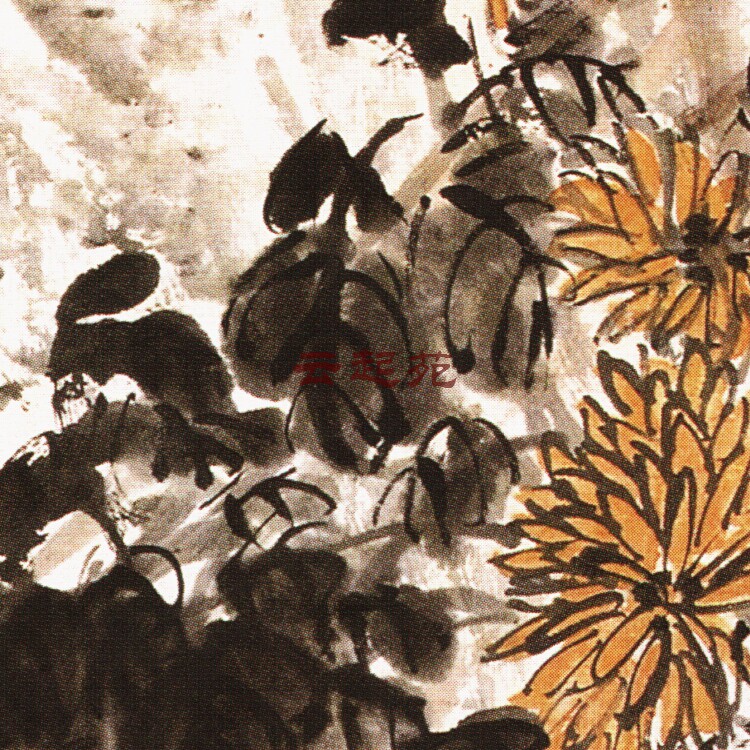 Qingwu Changshuku Chrysanthemum Photo Z II HD Electronic Photo 72M Decorative Propaganda Material