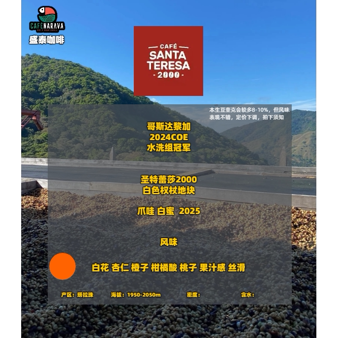 Java Santa Teresa 2000 Estate White Honey 2025