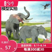 Genuine French PAPO Asian elephant simulation animal model Elephant model toy Kindergarten teaching aids childrens gift