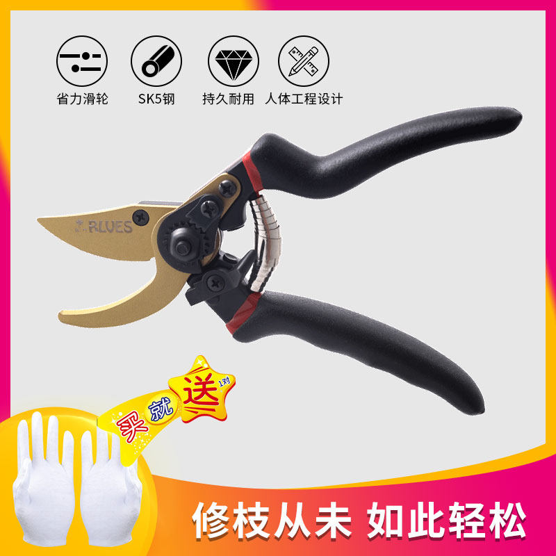 Pruning pruning shears garden pruning flowers Pruning branches shearing fruit trees shearing branches picking fruit scissors garden scissors