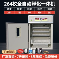 264 Полностью автоматически все -ин