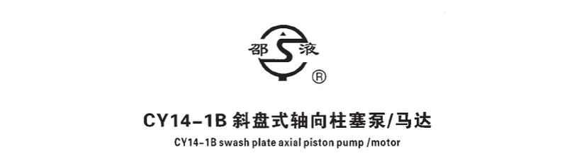 Shaoyang Vick Thủy lực CY series bơm piston hướng trục YCY14-1B bơm dầu cao áp áp suất cao Shao lỏng chính hãng SY bơm tay thủy lực giá bơm thủy lực piston