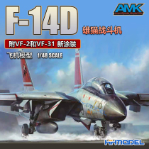 Henghui Model AMK 88009 1 48 F-14D Tomcat fighter with VF-2 and VF-31 new painting