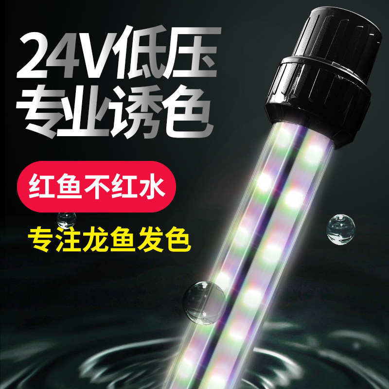 The biological male of the open aquarium red dragon parrot color brightening fish tank lights led waterproof induced lighting tube