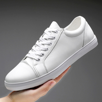 Small size mens shoes 2021 new leather leather small white shoes mens 46 autumn Korean version all-match sneakers mens casual shoes 37