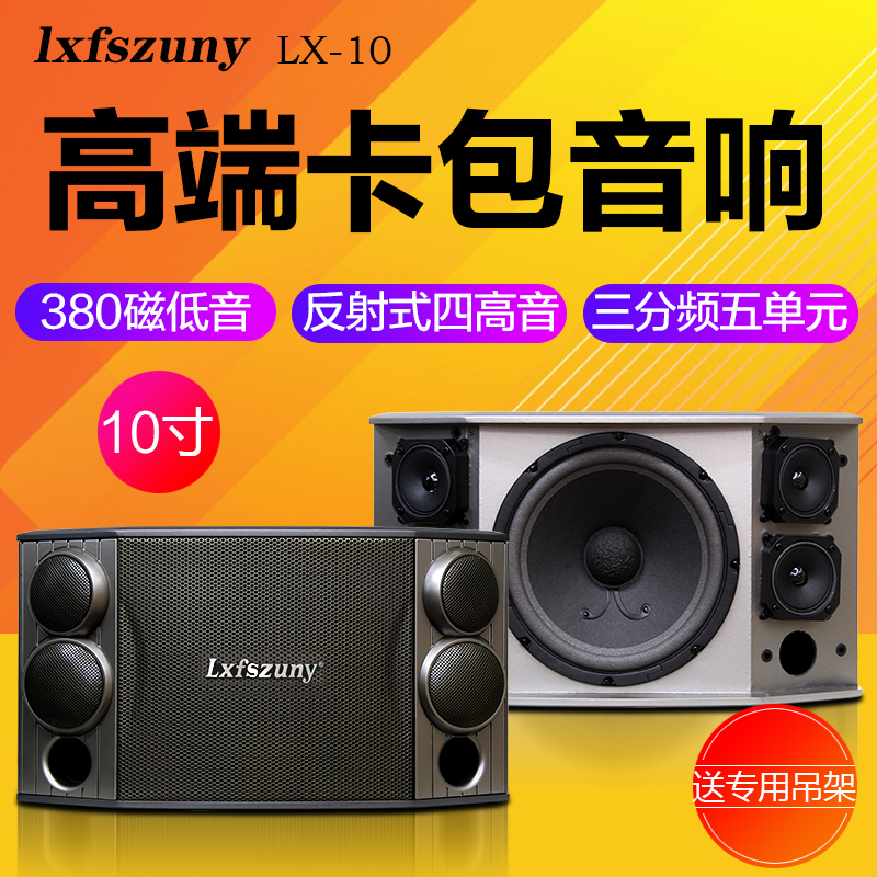 Rayshine Family KTV Sound Set Full Professional Household Carraok Speaker 10 inches one-to-conference stage