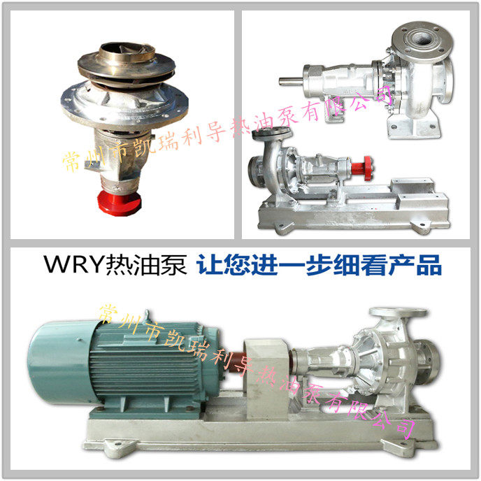 Wujin wry100-65-230 22kw hot oil pump flow 100M3 h head 55m high temperature thermal oil pump