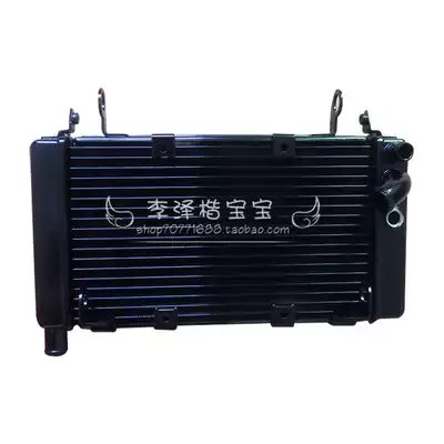 Suitable for Huanglong BJ600GS -A BN600i water tank oil cooler radiator