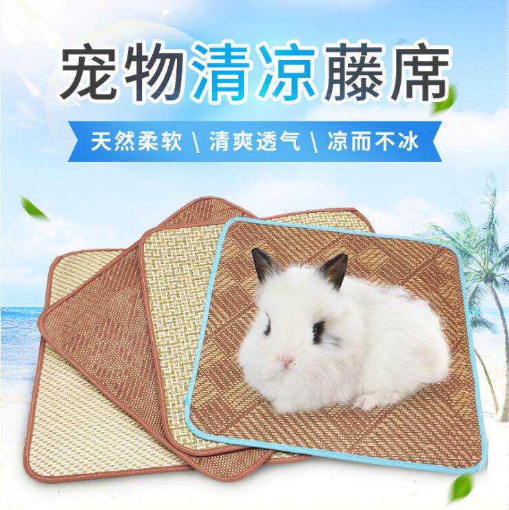 Rabbit cool summer cool cool cool pad pet cooling pad cushion dragon guinea pig summer vacuum