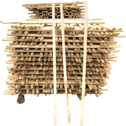 Guangzhou Xiangpai Qigong Performance Uses Wooden Sticks That Can Be Broken by Shaolin Kung Fu Martial Arts Sticks for Stage Performances