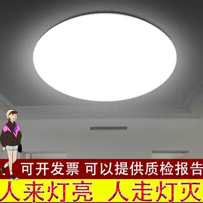 Radar induction ceiling lamp induction lamp sound control lamp corridor household corridor lamp human body induction lamp LED walkway lamp