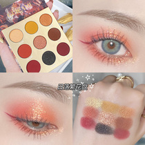 ins Super Fire Eye Shadow plate 2021 New European and American earth color Department cheap students pearlescent niche brand