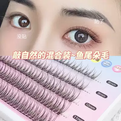 Segmented fishtail fairy hair false eyelashes natural simulation grafting yourself to receive Yu Shuxin women's single cluster self-adhesive eyelashes