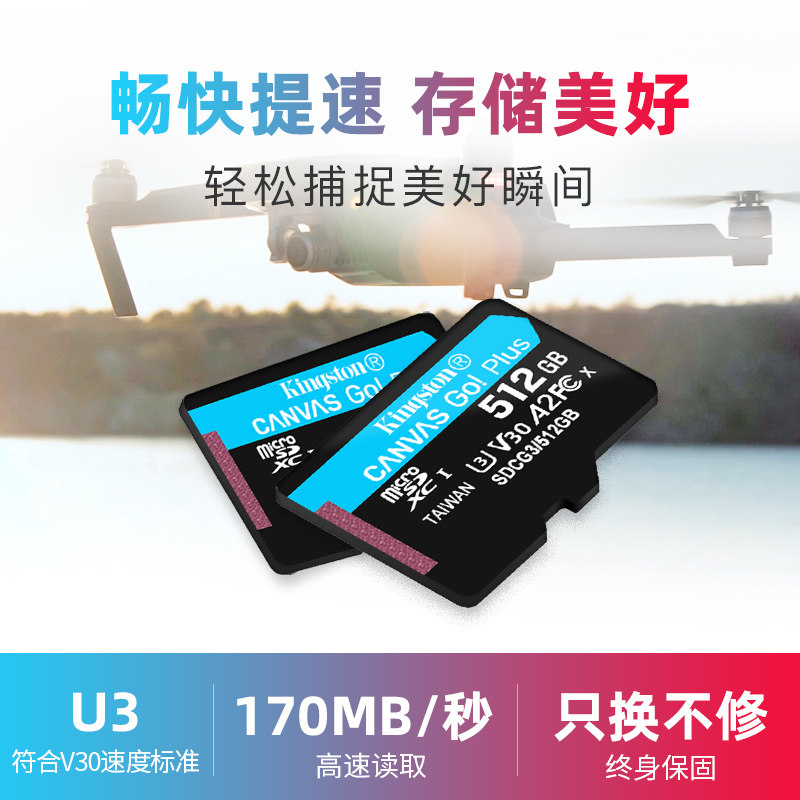 Карта памяти microSD Kingston Canvas Go! Plus 512GB SDCG3