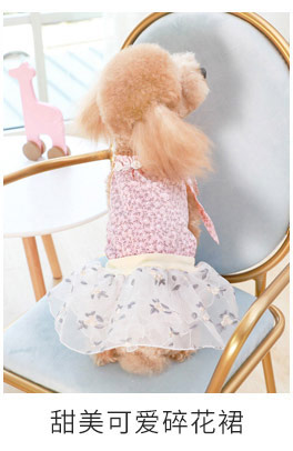 Chó cún quần áo mùa hè Teddy phần mỏng hơn Xiong Bomei Keji bốn chân nhỏ chó cưng mùa hè quần áo mùa hè - Quần áo & phụ kiện thú cưng bán đồ thú cưng
