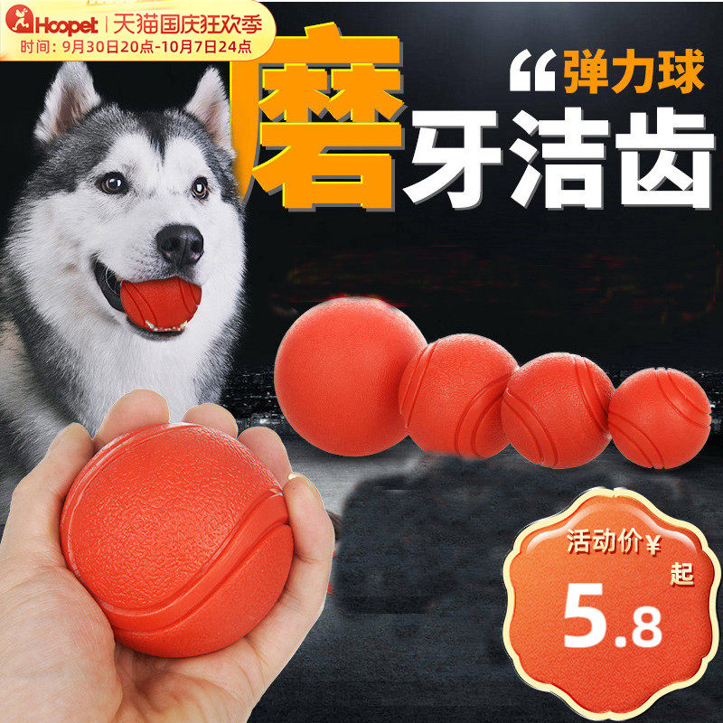 Pet toys bite-resistant puppy rubber ball border collie large dog dog ball puppy Labrador golden retriever dog supplies