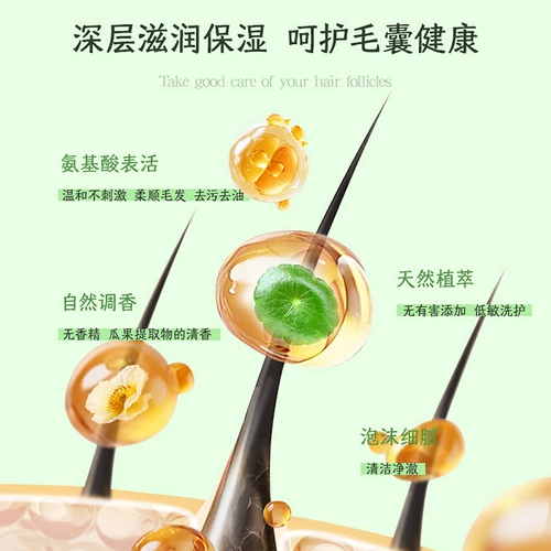 Гель для душа, антибактериальный дезодорант со стойким ароматом, шампунь, долговременный эффект, против зуда