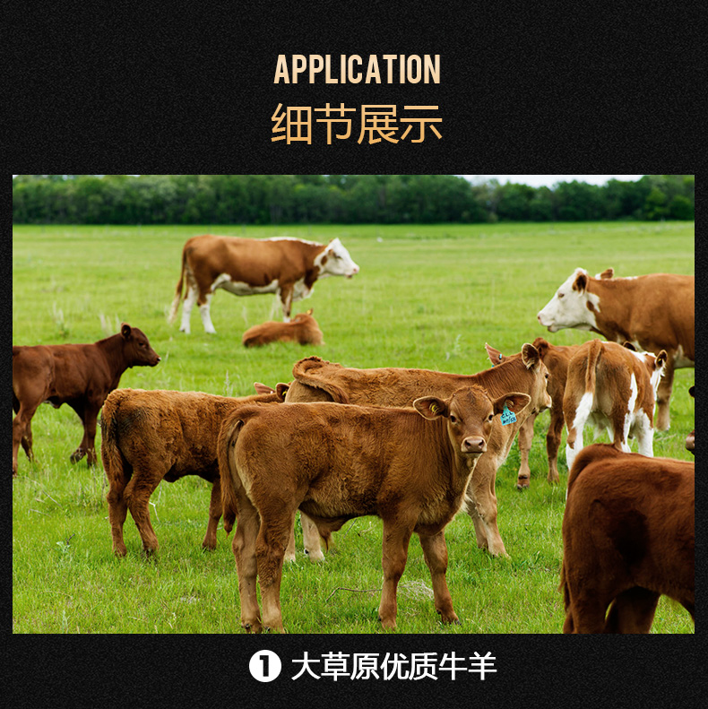 Chó ăn vặt Jinmao Labrador chó lớn chó lớn xương cắn canxi gia súc xương chân răng hàm thanh xương bò - Đồ ăn vặt cho chó thức ăn cho poodle