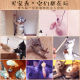 Cat toy teasing cat stick Kitten kitten bell with bell -to -grit, mice, mouse kitten self -relieve stuffy cat supplies