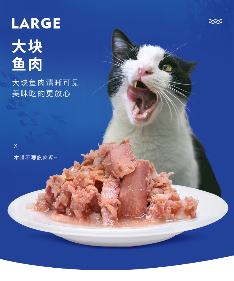 Mèo sao biển Đồ ăn nhẹ Mèo đóng hộp Thức ăn ướt Mèo Đồ ăn nhẹ Thực phẩm dinh dưỡng Gói tươi Thức ăn cho mèo Thức ăn chính - Đồ ăn nhẹ cho mèo thức ăn cho mèo 2 tháng tuổi