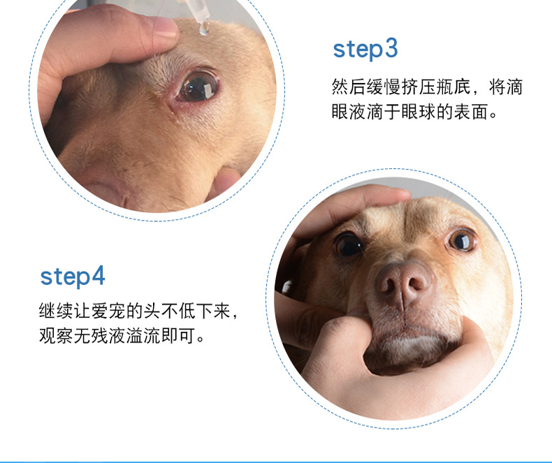 Pet loại bỏ nước mắt mèo thuốc nhỏ mắt mèo kháng khuẩn hơn mắt chó chống viêm thuốc nhỏ mắt thuốc nhỏ mắt - Thuốc nhỏ mắt thuốc nhỏ mắt cravit
