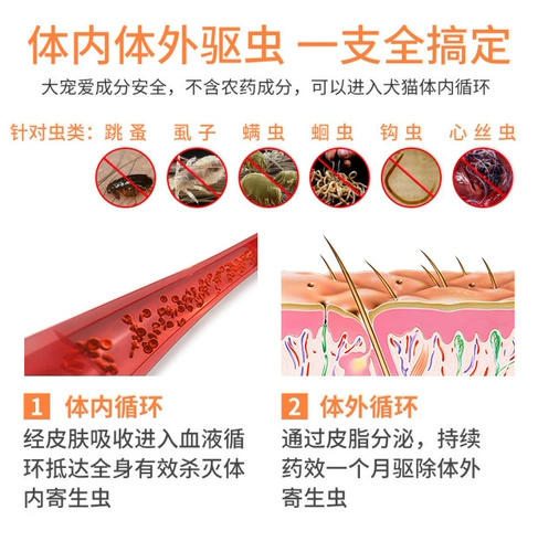 大宠爱 СОБАКОВОЙ ВЗЕРНЫЙ МАЛЕНЬКИЙ СОБАВИТЕЛЬНЫЙ ТЕДДИ