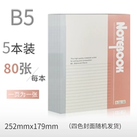 Страницы B5-80 (5 книг) среднего размера.