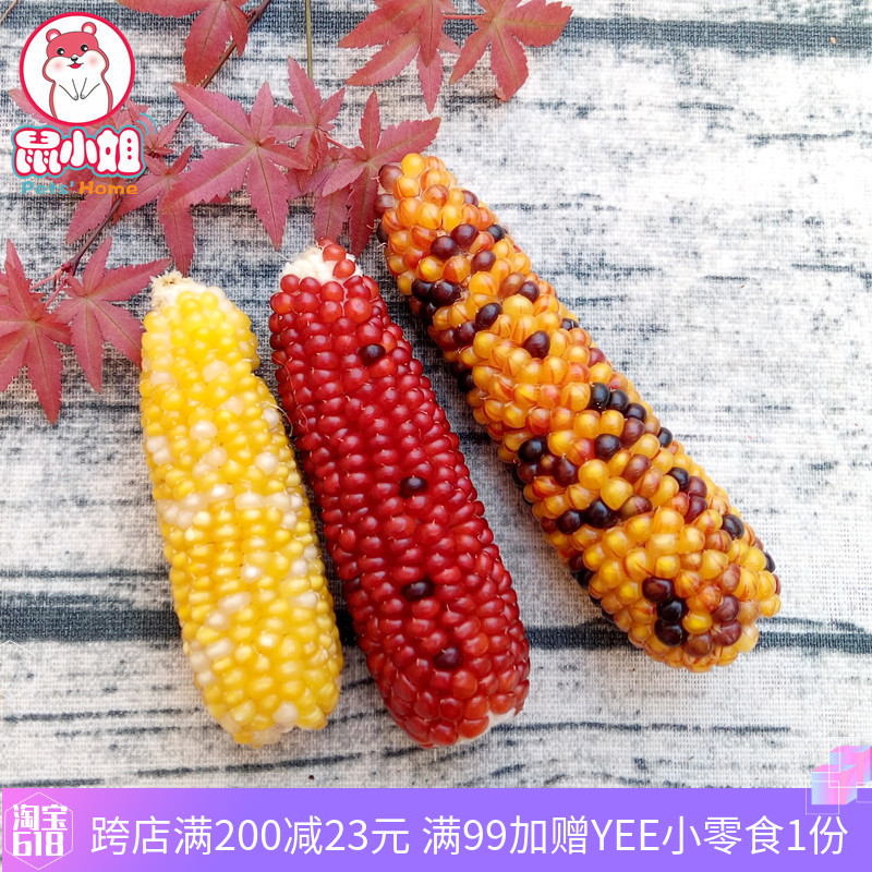 This year new stock cute mini corn grinding tooth stick freeze-dried corn stick hamster rabbit bear grindstone snacks