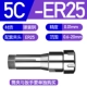 5C-ER25