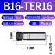 B16-TER16