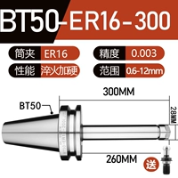 BT50-ER16-300 (0,003 свободной латиницы)