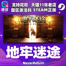 PC Chinese genuine steam dungeon lost NeverReturn country zone activation code serial number CDkey spot