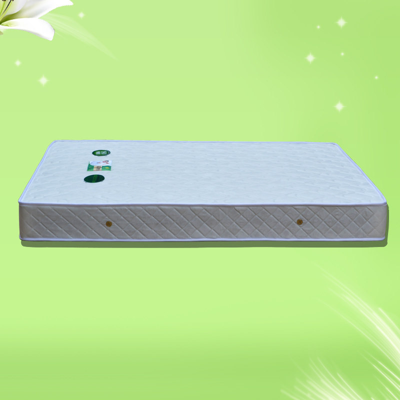 ��ɭ�����ɵ�˫�˴���A15