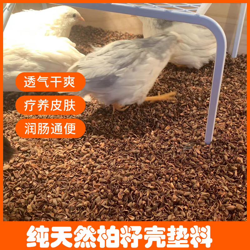 Luding Chicken Cypress Seed Hull Mat Stock Berson Shell Hamster Berry Cypress Tree Shell Pet Luding Chicken Quail Dust-free Fermentation Bed-Taobao