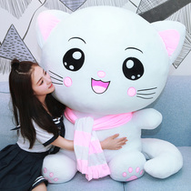 Cute plush toy cat doll hugging bear Doll Doll girl child bed birthday gift