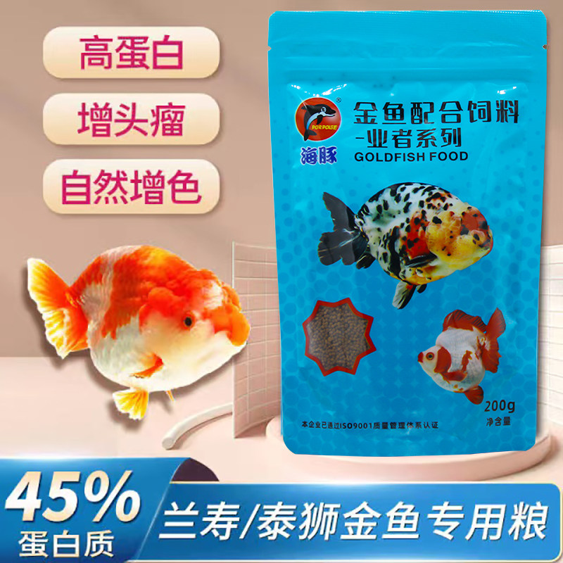 Dolphin goldfish assorted with feed Lanshou goldfish Thai lion Cillion head of the fish to watch the fish sink in small grain grain