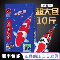 Dolphin koi fish feed koi bred fish food 5kg koi yellow fish grain germ fish feed
