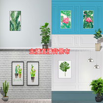 Shake the sound fast hand anchor live photo photography background cloth Nordic simple 3d Taobao clothing indoor background wall