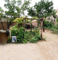 New shaking sound fast hand anchor shot joke video background cloth rural earth brick old house vegetable garden 3D stereo