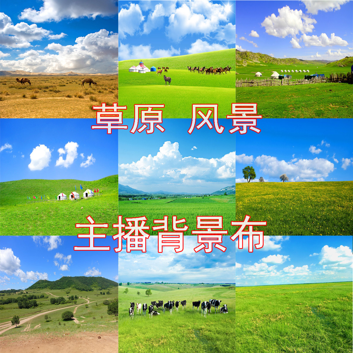 The new Mongolian Hulunbuir Grassland scenery Internet celebrity anchor live broadcast shooting video segment background cloth 3D three-dimensional