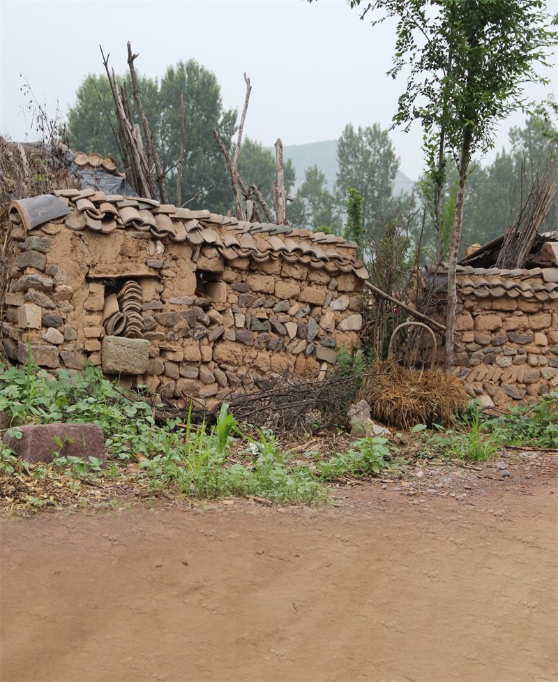 Fast Hand Shake Sound Internet Anchor Live Shooting Section Sub Film Background Cloth Countryside Old House Earth Brick Wall Cornpole