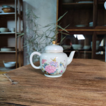 Hand-painted small palace lamp with hibiscus and wild chrysanthemum in the morning rain and twilight